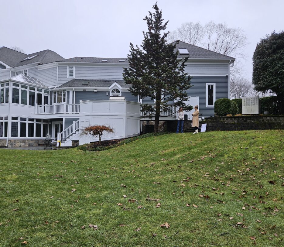 A view of the backyard before Dex by Terra's landscape and hardscape work.
