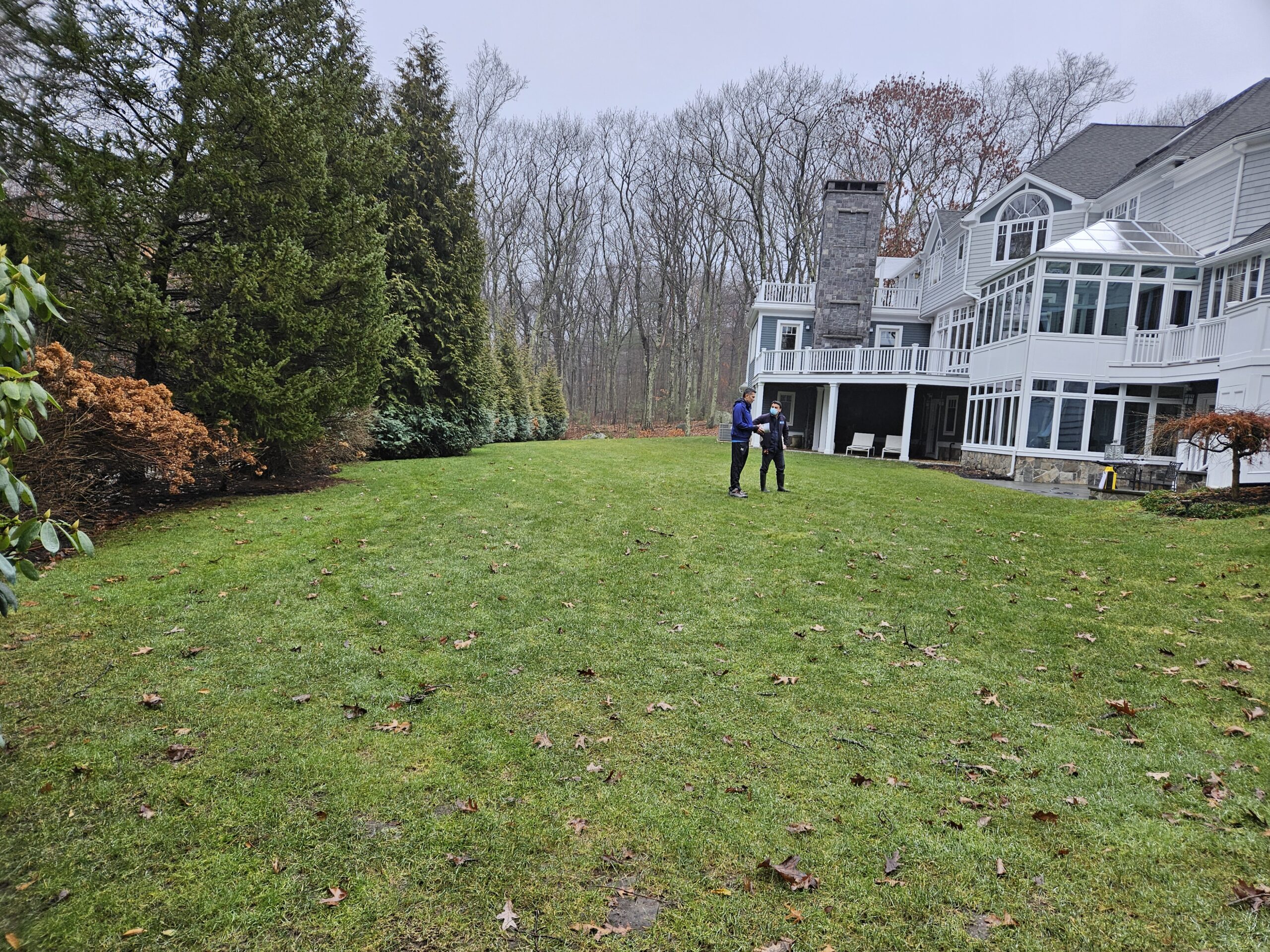 A view of the backyard before Dex by Terra's landscape and hardscape work.