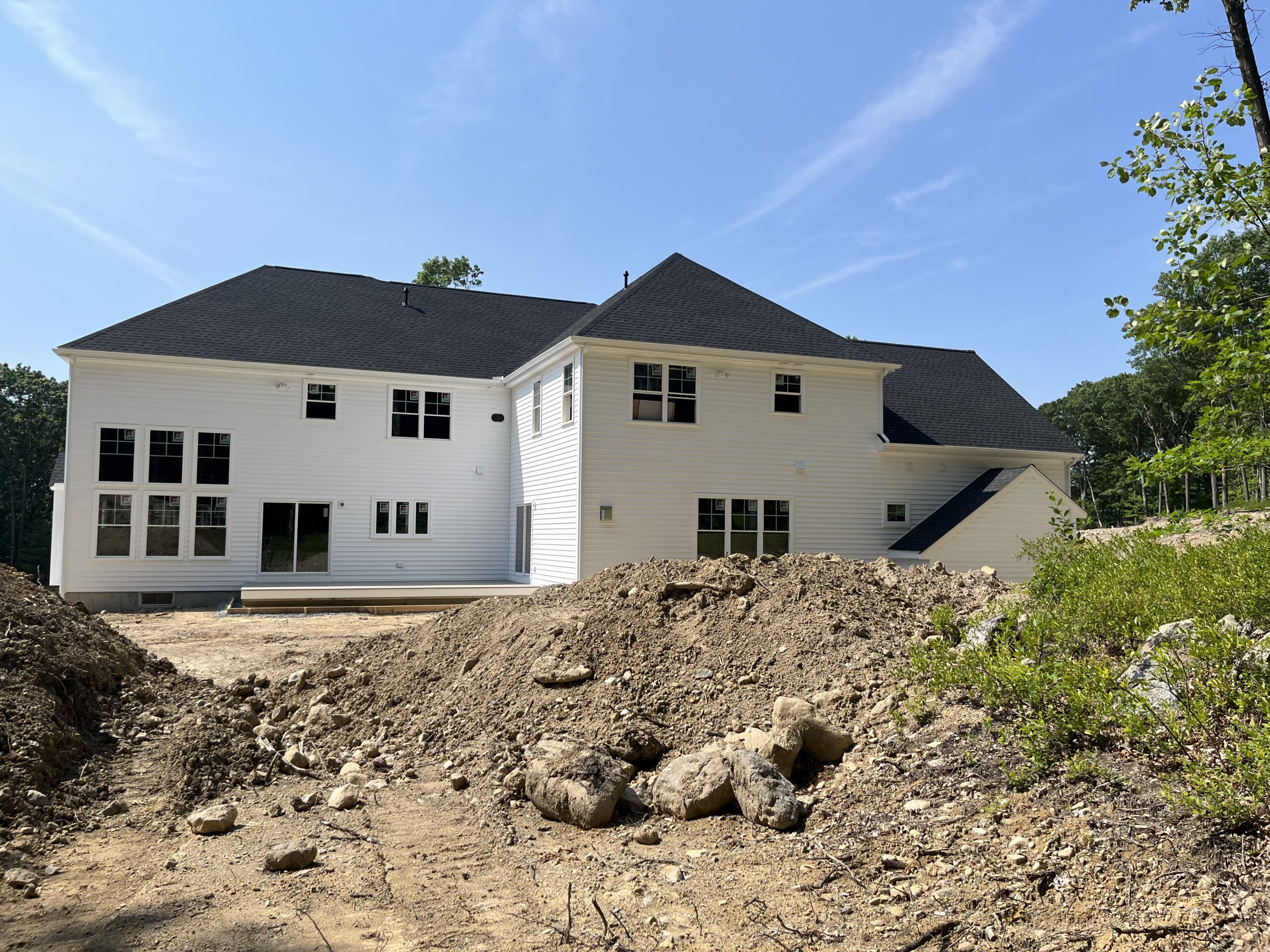 View of backyard before Dex by Terra's work.