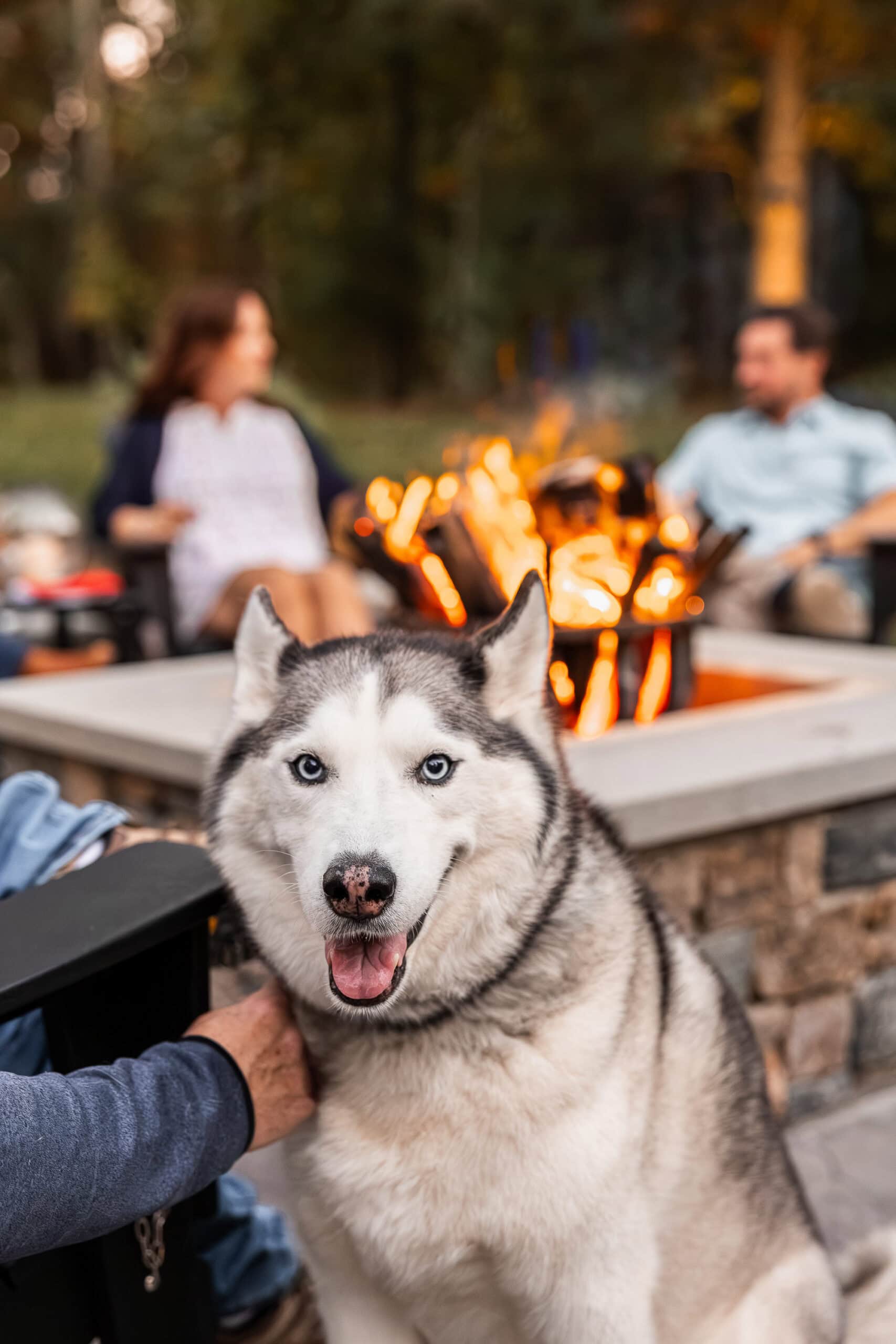 The dog and homeowners relax by the fire pit. Landscape design in Dunstable, MA built by Dex by Terra.
