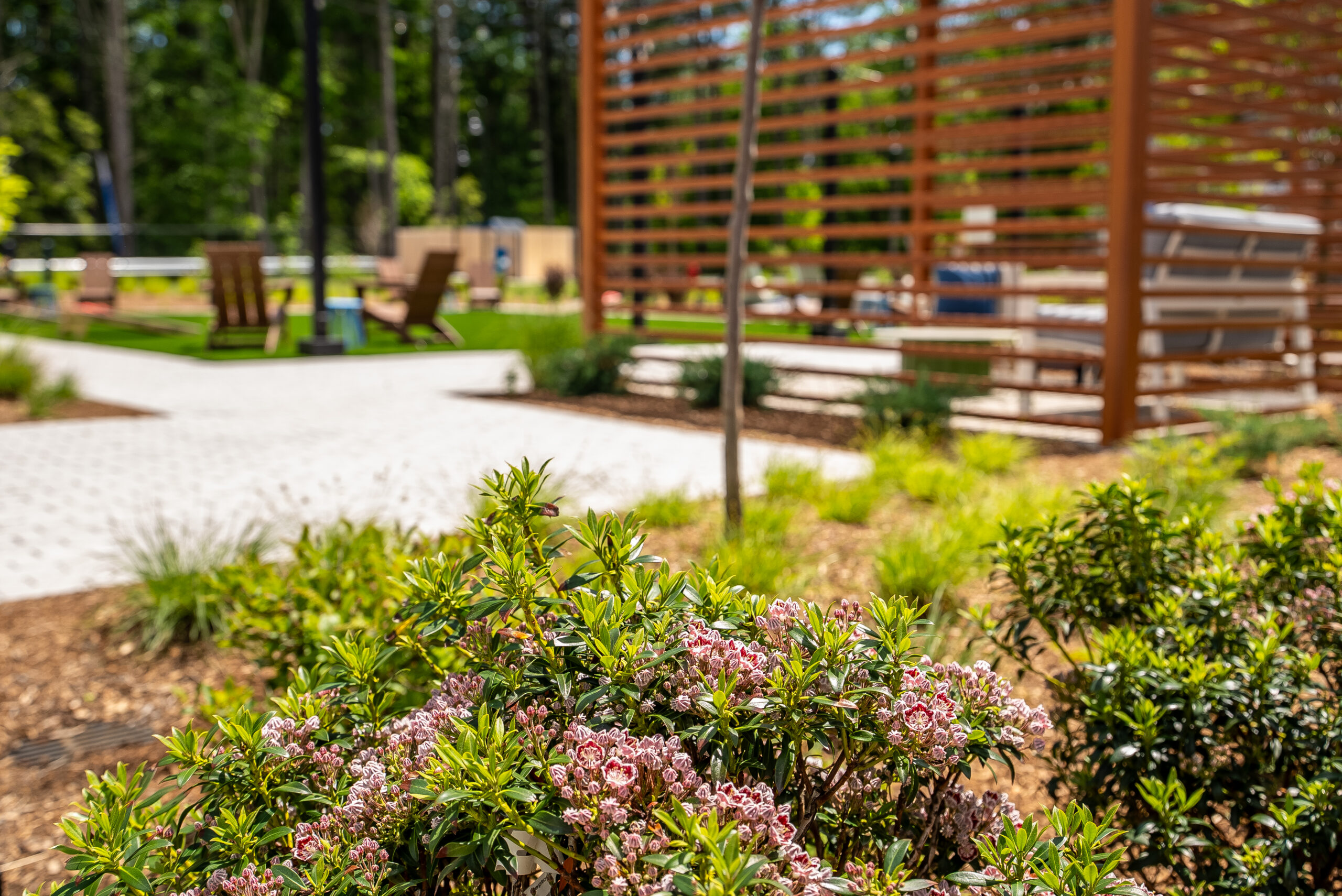 Mulched plant beds border the bring paver walkways at The Penstone Apartments in Walpole, MA. Hardscaping and landscaping by Dex by Terra of Hudson, MA.